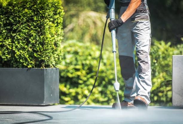 Best Soft Washing  in Gardena, CA