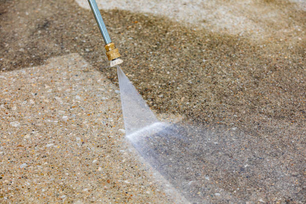 Best Animal Enclosure Cleaning  in Gardena, CA